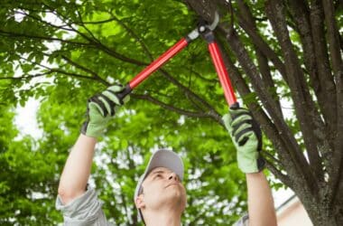 paysagiste se servant d'un ébrancheur