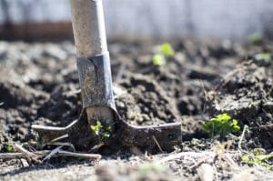 Préparer Terre Du Potager En Hiver