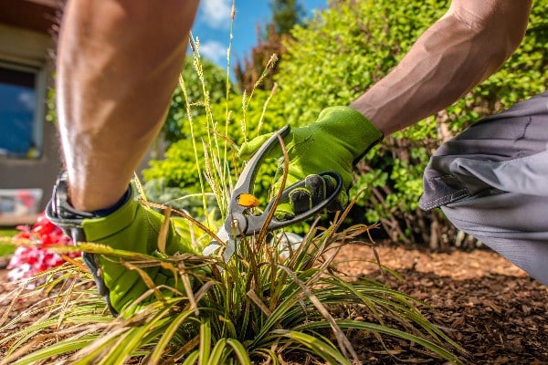 paysagiste enlève les feuilles mortes