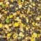 feuille morte sur le sol
