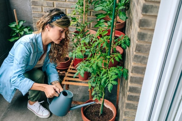 jardin minimaliste