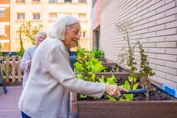 jardin en hauteur