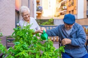 jardin urbain