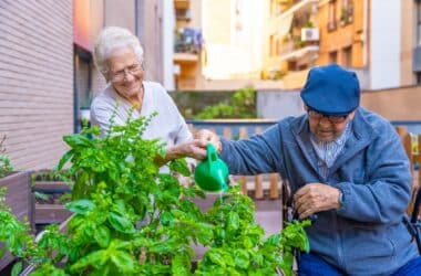 jardin urbain