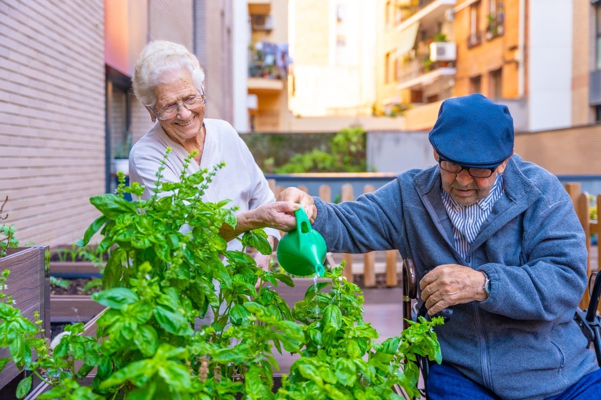 jardin urbain