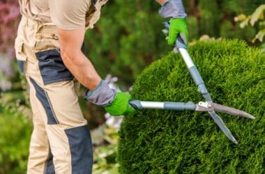 Métier de paysagiste